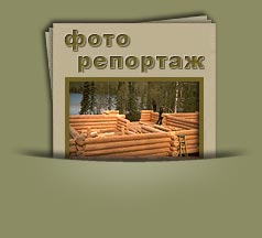 Фоторепортаж со строительных площадок - срубы домов