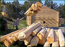 Бревно для бани
